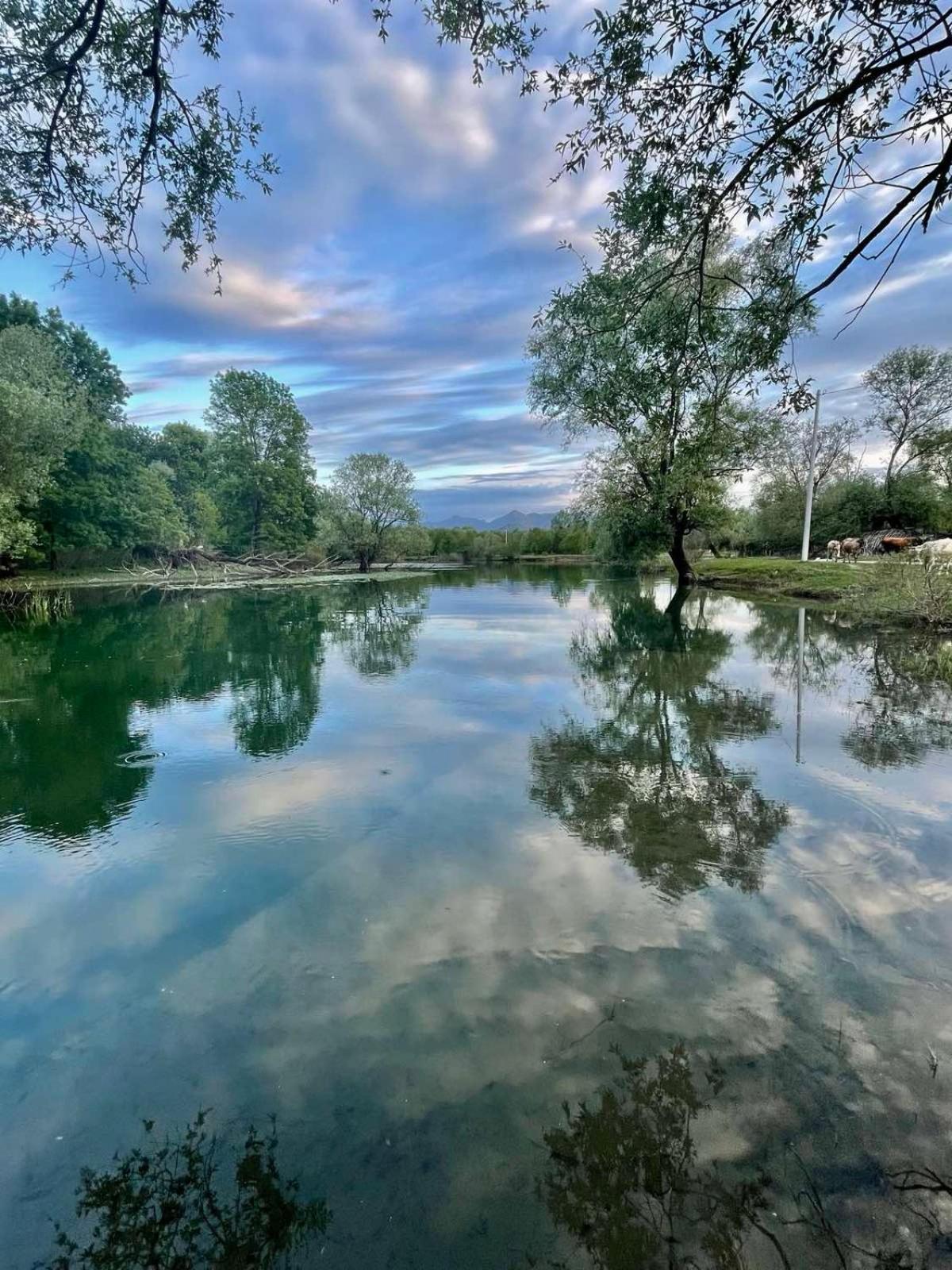 Lake View Apartment Dodosi Dış mekan fotoğraf