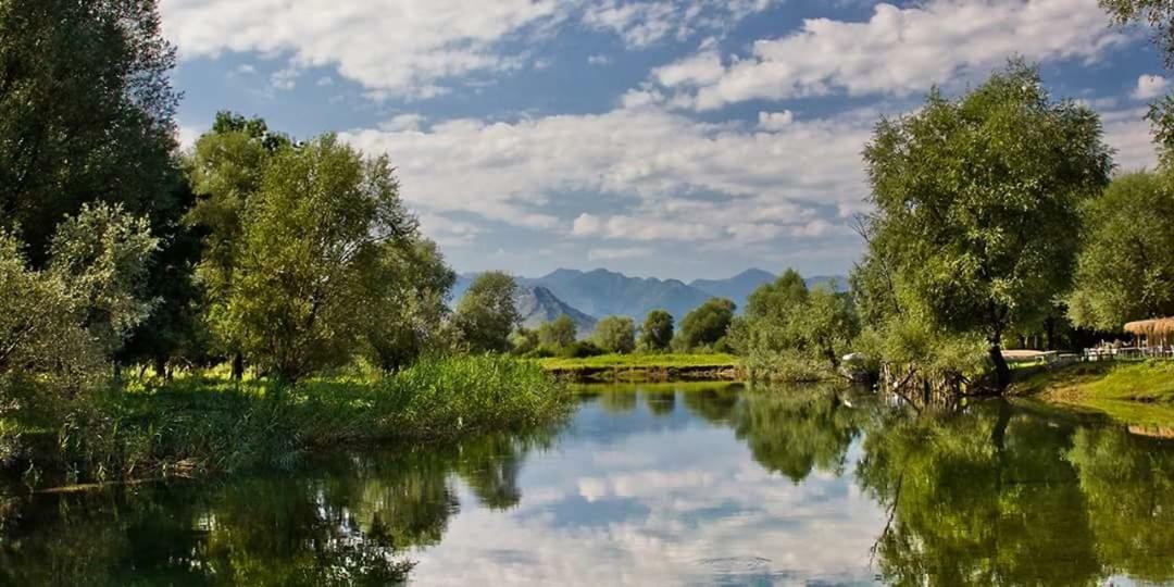 Lake View Apartment Dodosi Dış mekan fotoğraf