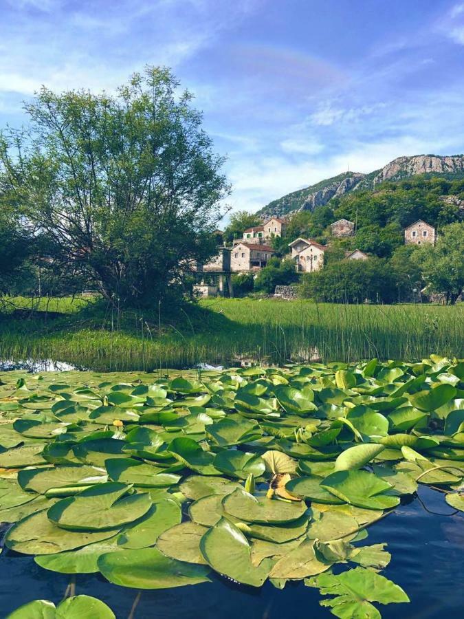 Lake View Apartment Dodosi Dış mekan fotoğraf